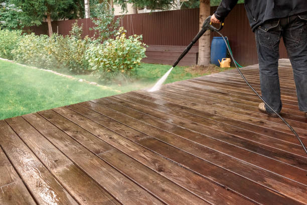 Best Solar Panel Cleaning  in Fox River Grove, IL