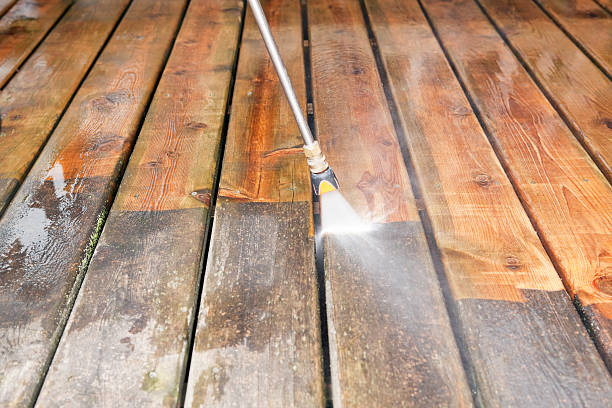 Animal Enclosure Cleaning in Fox River Grove, IL